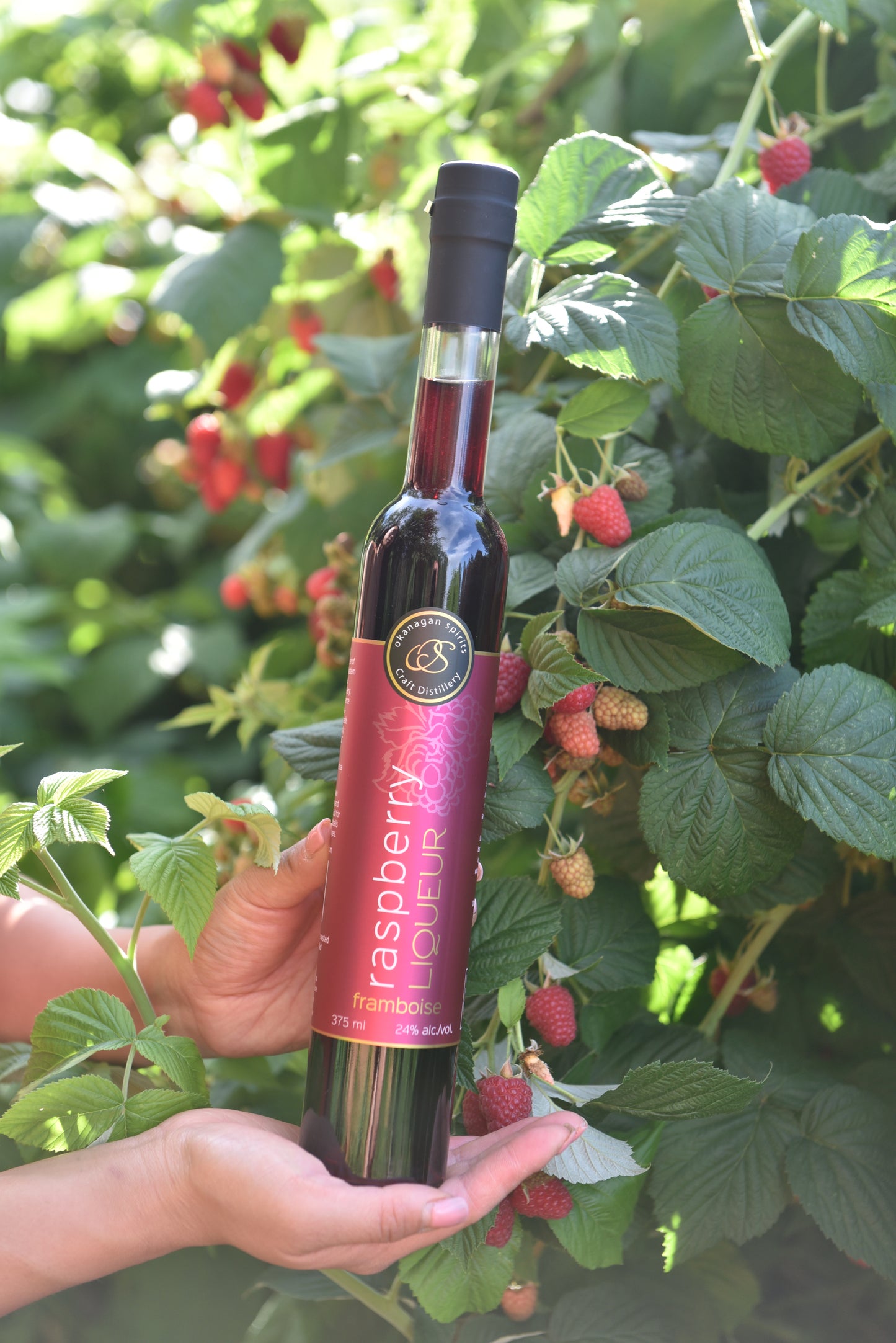 Raspberry Liqueur