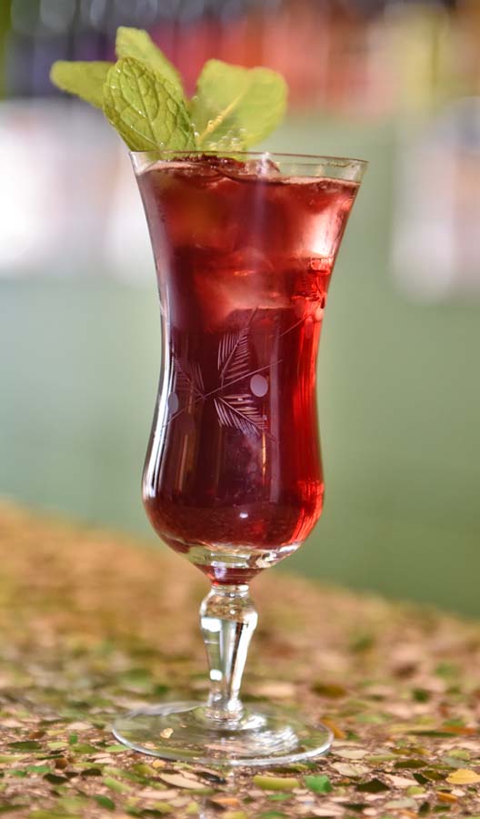 Blueberry Elderflower Fizz Drink Image