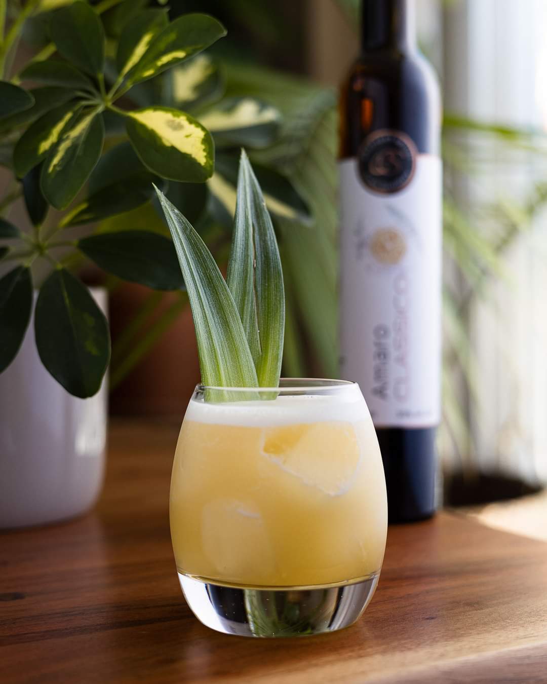 Okanagan Bird Drink Image