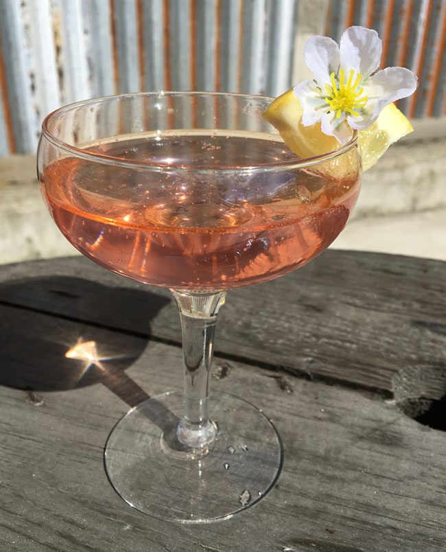 Gin Blossom Drink Image