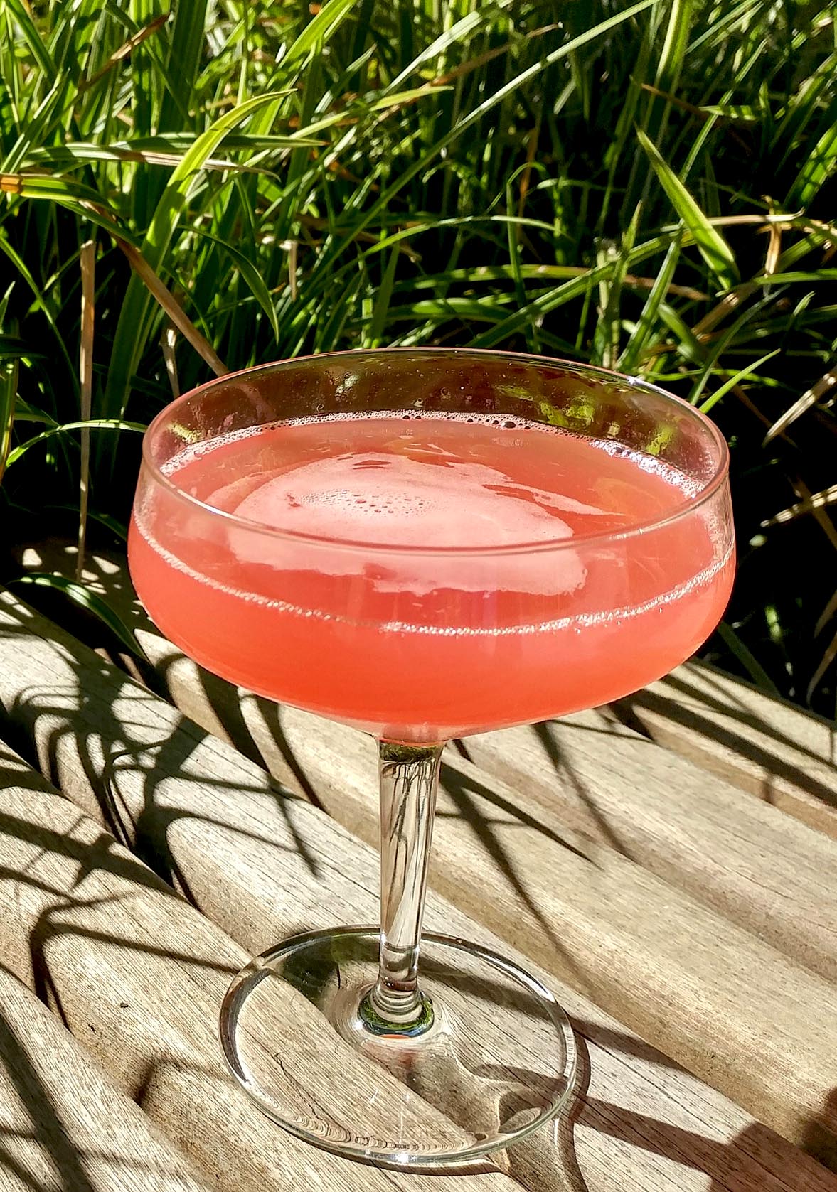 A Place in the Sun Drink Image