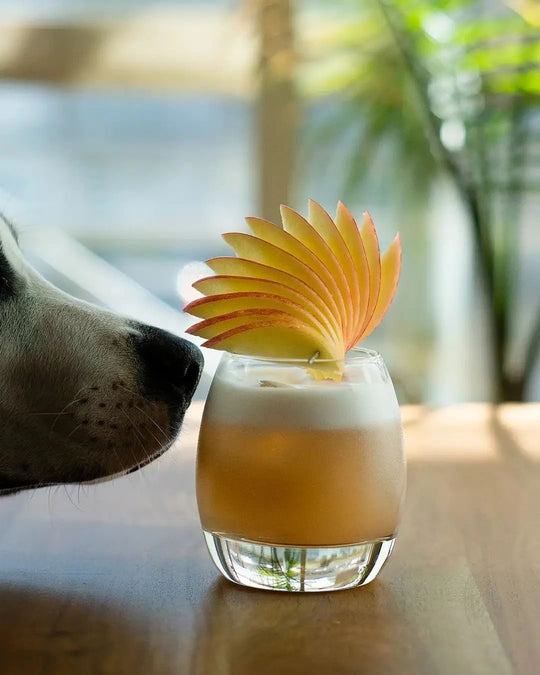 Bird of Pearadise Drink Image