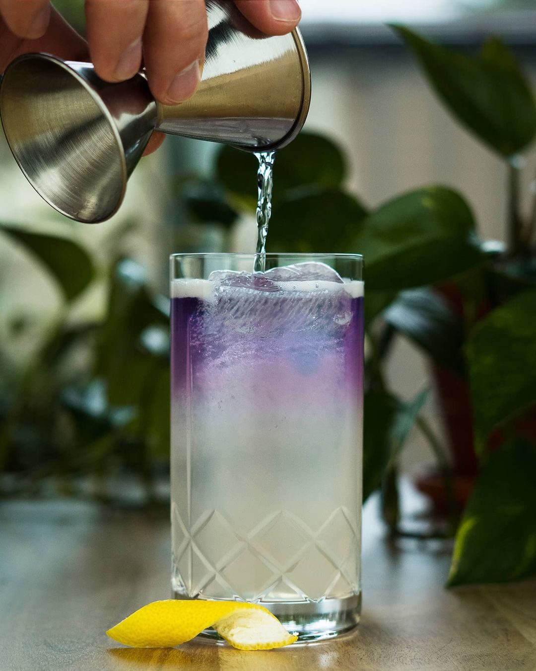 Lavender Tom Collins Drink Image