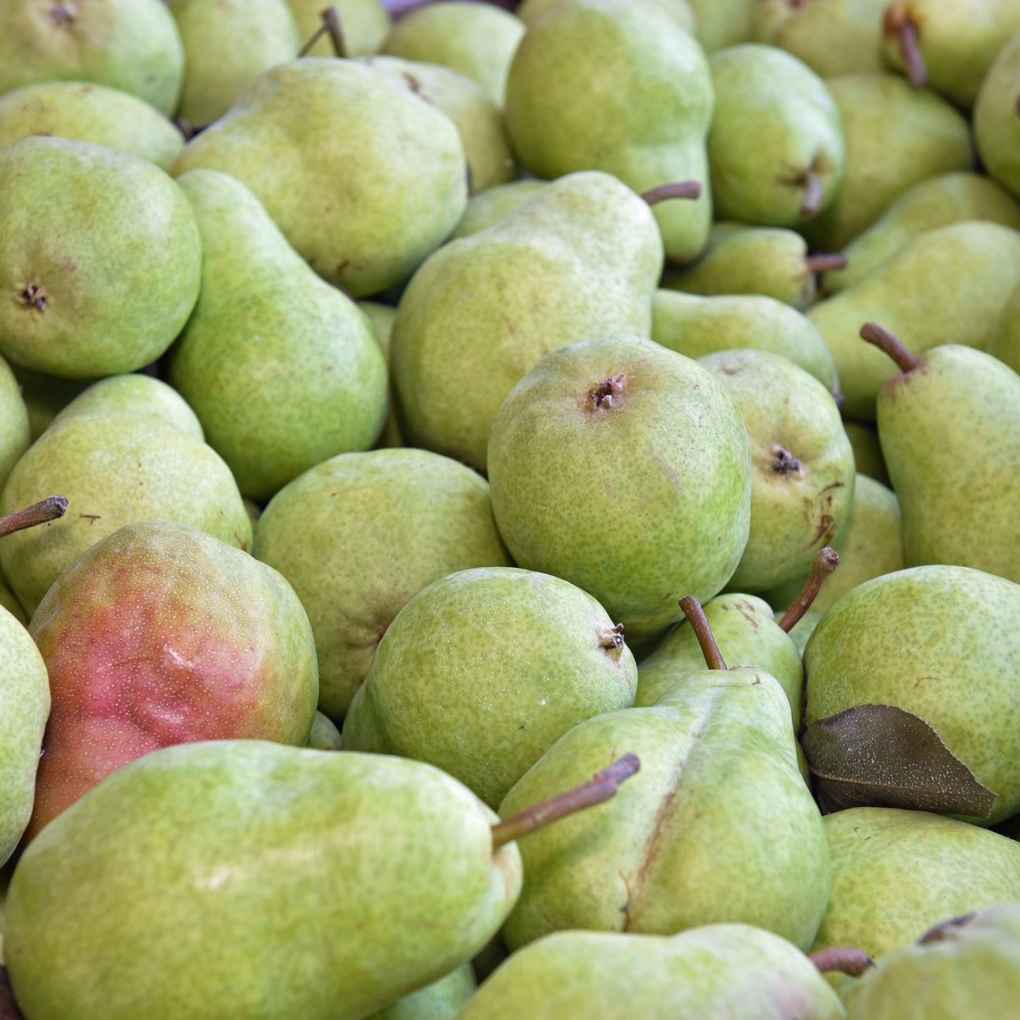 Bartlett Pear Brandy (Poire Williams)